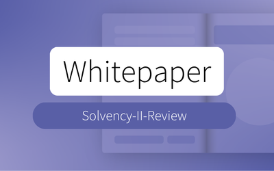 Whitepaper: Solvency II Review