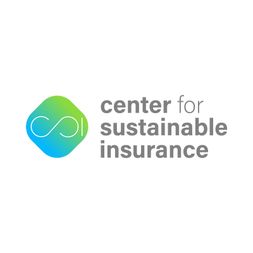 CSI Logo (Wort-Bild)
