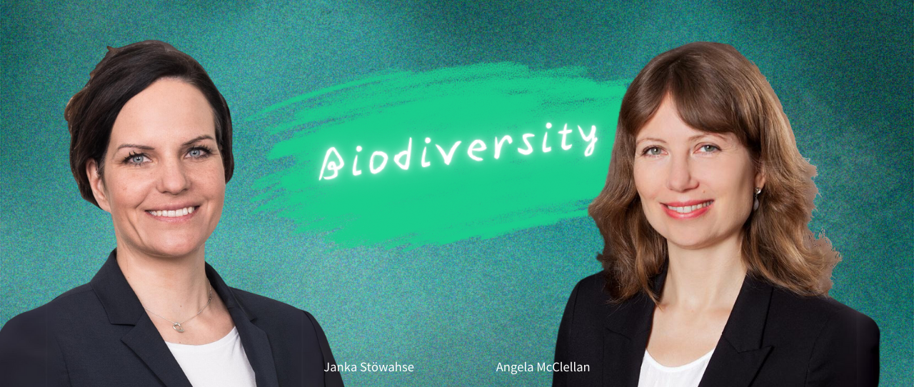 Biodiversität – Warum Versicherer sich damit beschäftigen müssen