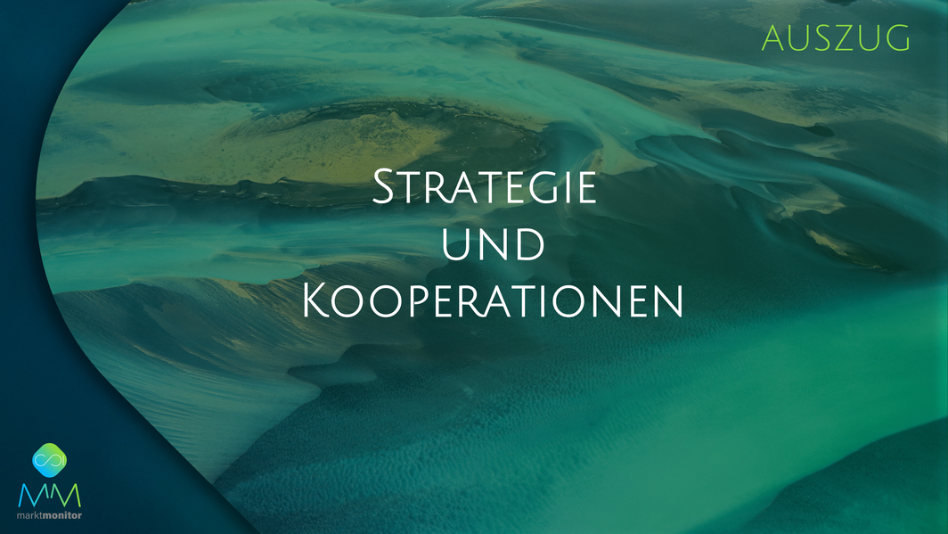 Marktmonitor Sustainable Insurance Auszug 4