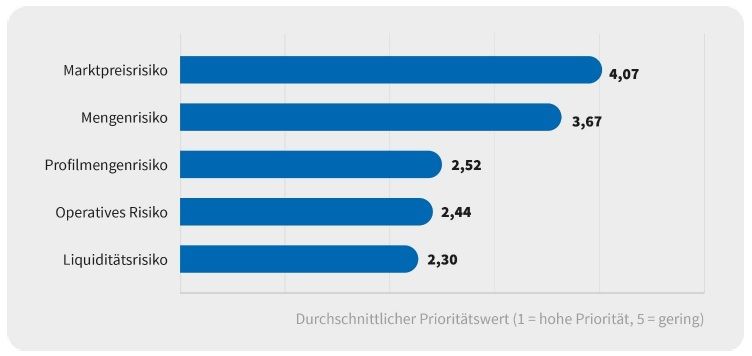 Die Grafik zeigt die Risikotypen in der Energiebeschaffung.