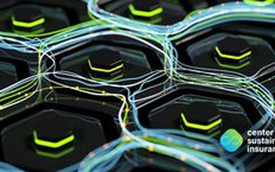 Green IT - Nachhaltige Lösungen für die digitale Transformation
