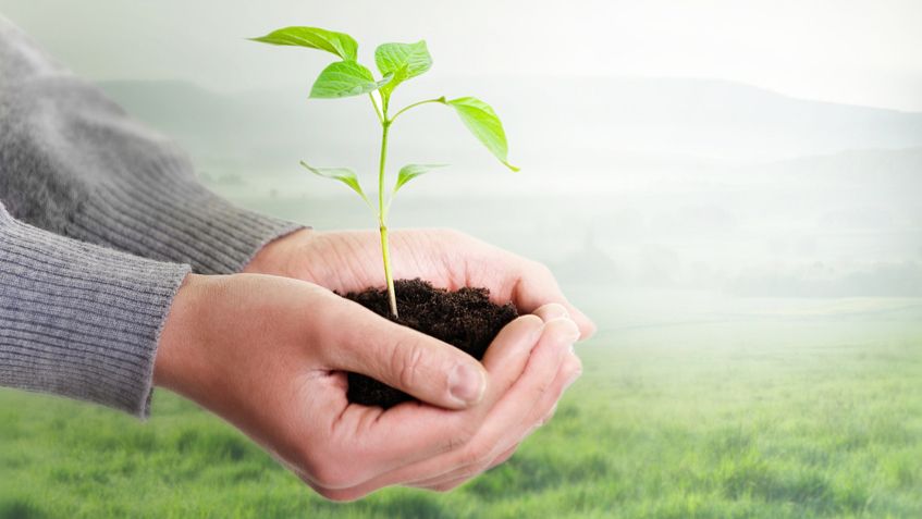 Marktmonitor "Sustainable Insurance Industry"