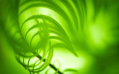 Inhouse Angebot: VÜHRERSCHEIN Nachhaltigkeit