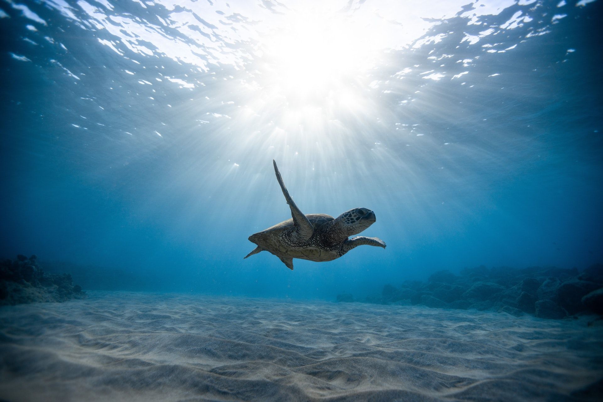 Sustainable Finance Deep Dive