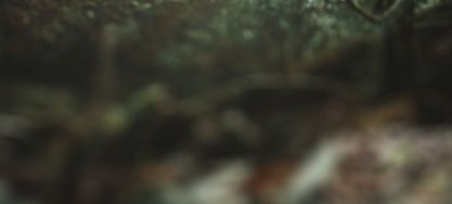 Rethinking Bancassurance - Mit mehr Dynamik zu neuen Erfolgen
