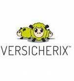 VERSICHERIX AG