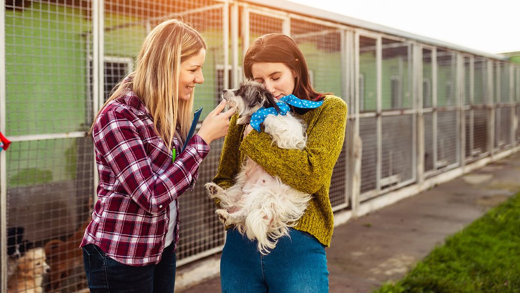 Zwei Frauen kuscheln einen Hund vor Tierzwingern