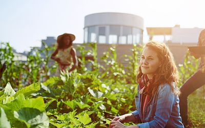 Trends vorgestellt: Urbanisierung und Urban Farming