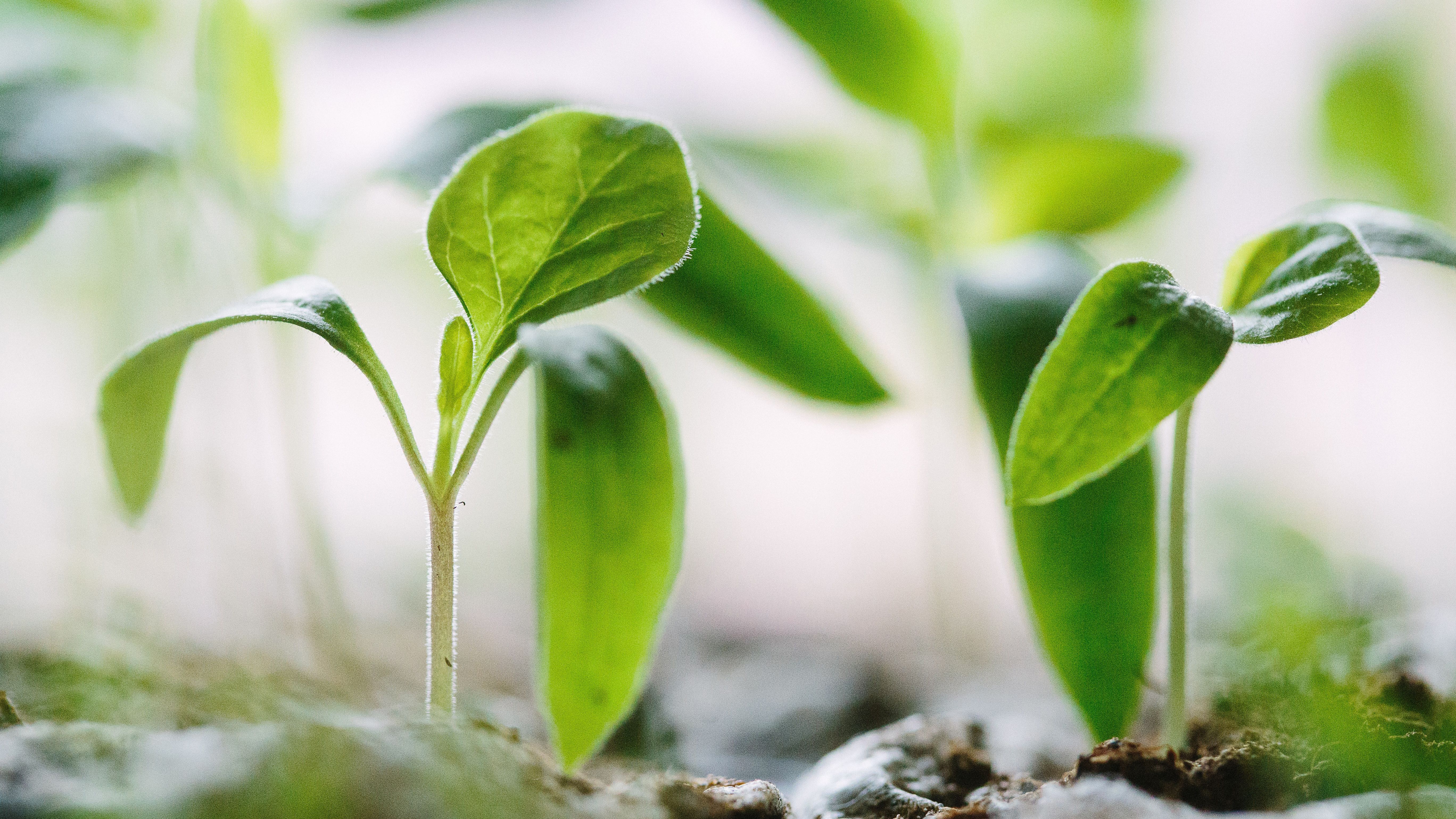 Sustainable Finance – Chancen für die Kommunikation und die Kundenbindung
