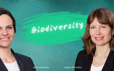 Biodiversität – Warum Versicherer sich damit beschäftigen müssen