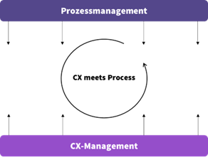 Werkstatt CX meets Process
