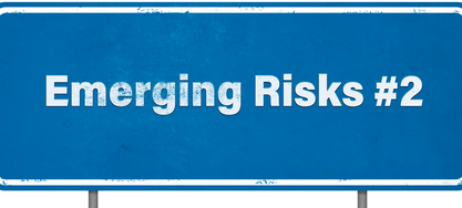 Emerging Risks 2