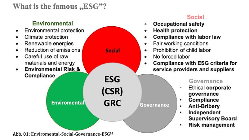 What is the famous ESG