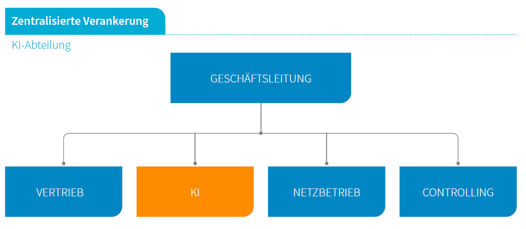 KI-Abteilung zentralisiert verankert