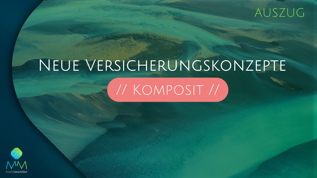 Marktmonitor Sustainable Insurance Auszug 2