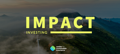 Impact Investing Versicherungen