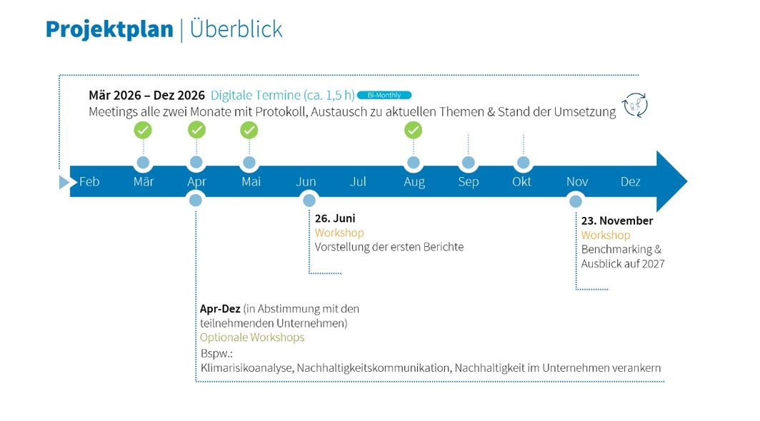 Der Projektplan zeigt, wie über mehrere Monate hinweg ein VSME-Bericht als kollaboratives Projekt entsteht.