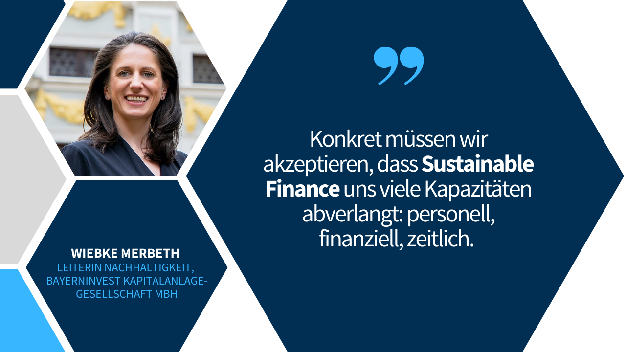 Sustainable Finance: Ein nachhaltiges Finanzsystem für die große Transformation