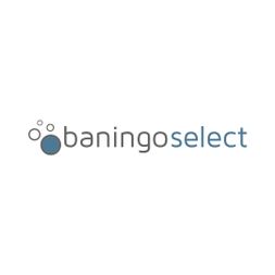 Logo baningo select