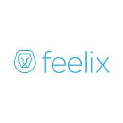 Logo feelix