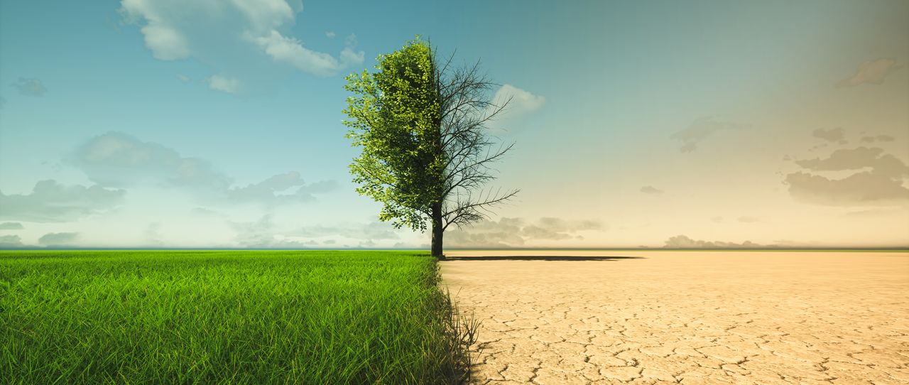 Prävention und Produktgestaltung mit exakten Wetterdaten