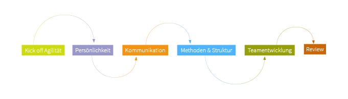 Grafik des Prozesses für das Team Coaching