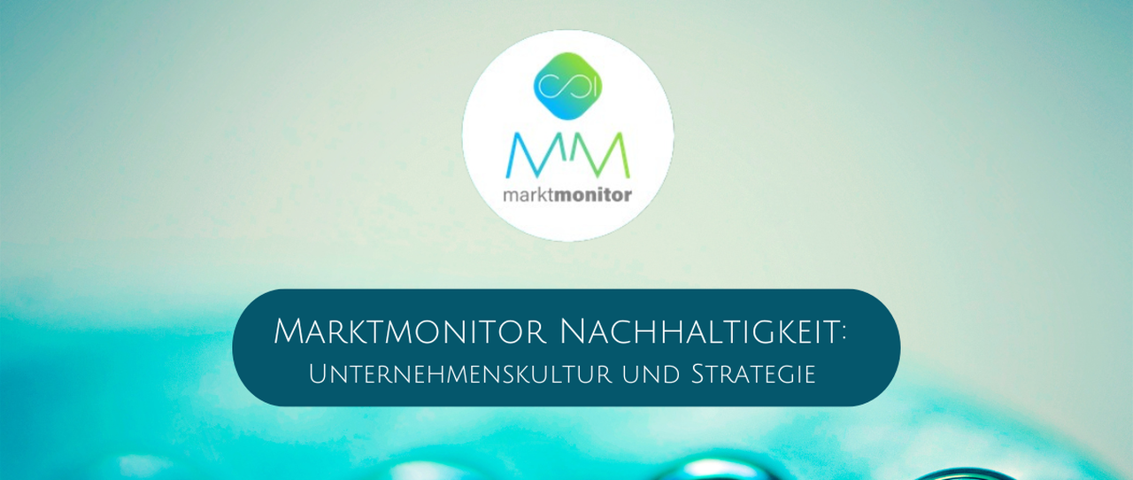 Nachhaltigkeit in der Versicherungswirtschaft: Unternehmenskultur und Strategie