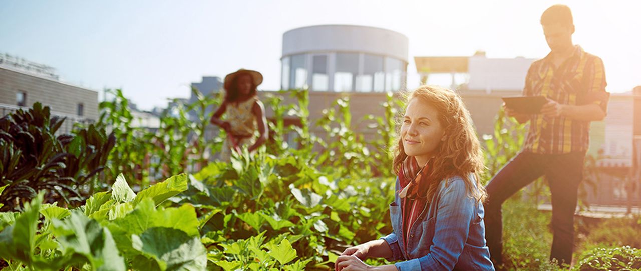 Trends vorgestellt: Urbanisierung und Urban Farming