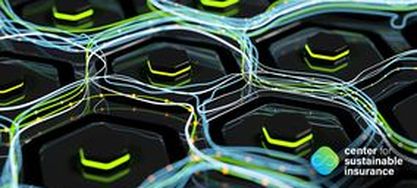 Green IT - Nachhaltige Lösungen für die digitale Transformation