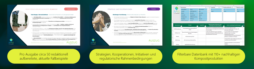Blick in den marktmonitor: Screenshot der Präsentation und der Datenbank