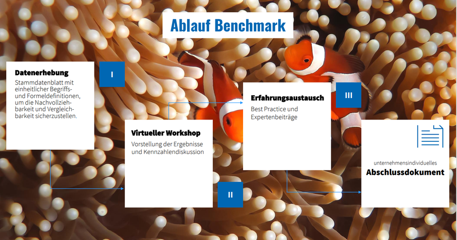Ablauf Benchmark Benchmark Ablauf