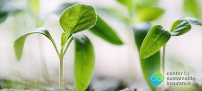 User Group "Nachhaltigkeitsmanagement" – 15. Arbeitstreffen