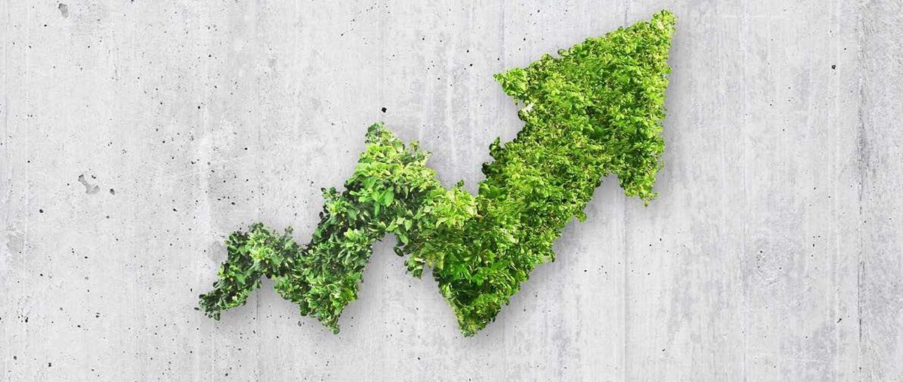 Nachhaltigkeit in der Assekuranz – spannende Fakten und Entwicklungen