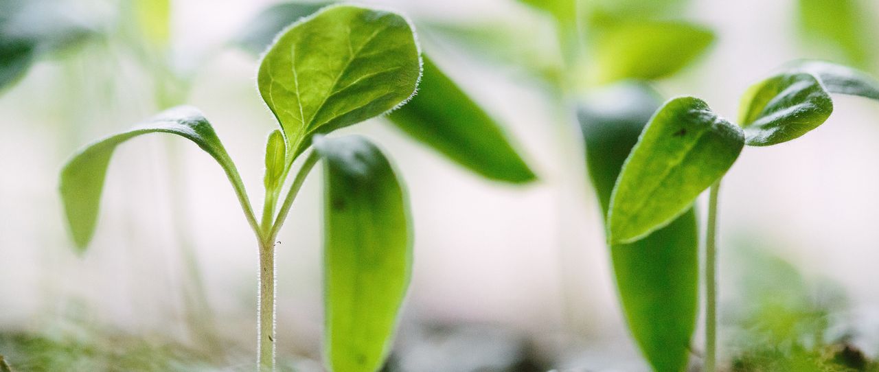Sustainable Finance – Chancen für die Kommunikation und die Kundenbindung