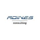 Adines Consulting.jpg