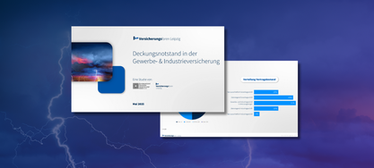 Deckungsnotstand in der Gewerbe- und Industrieversicherung Studie
