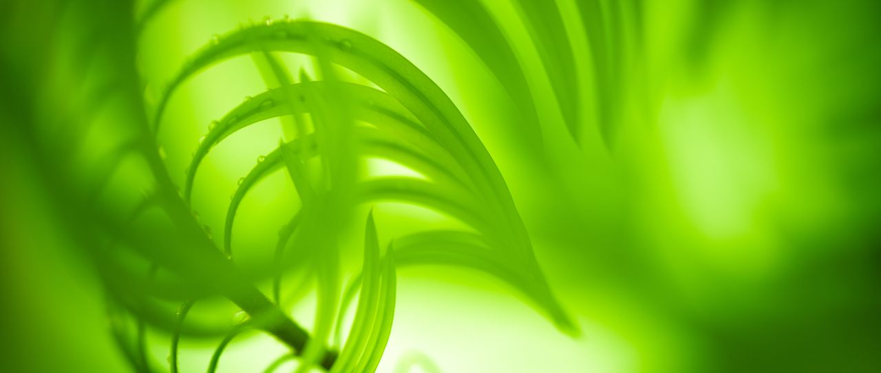 Web Based Training: Crashkurs Nachhaltigkeit im Versicherungsunternehmen